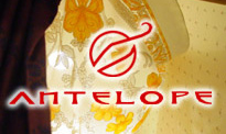 �A���e���[�v�FANTELOPE
